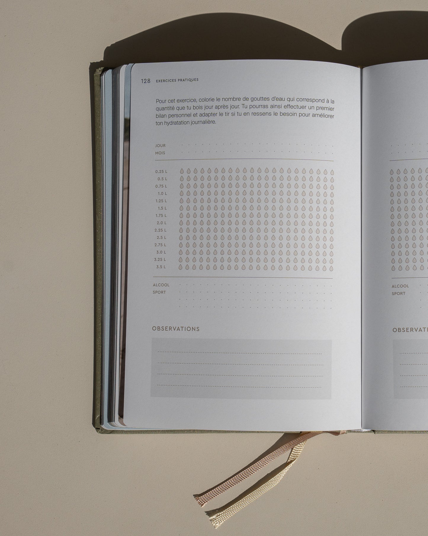 Livre IMMERSION