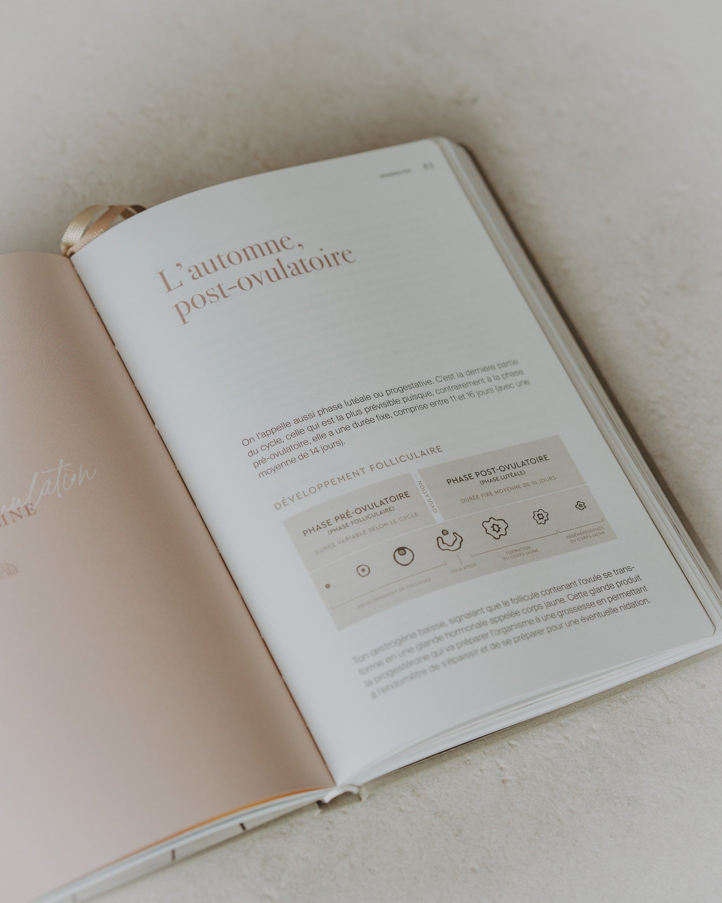 Livre IMMERSION