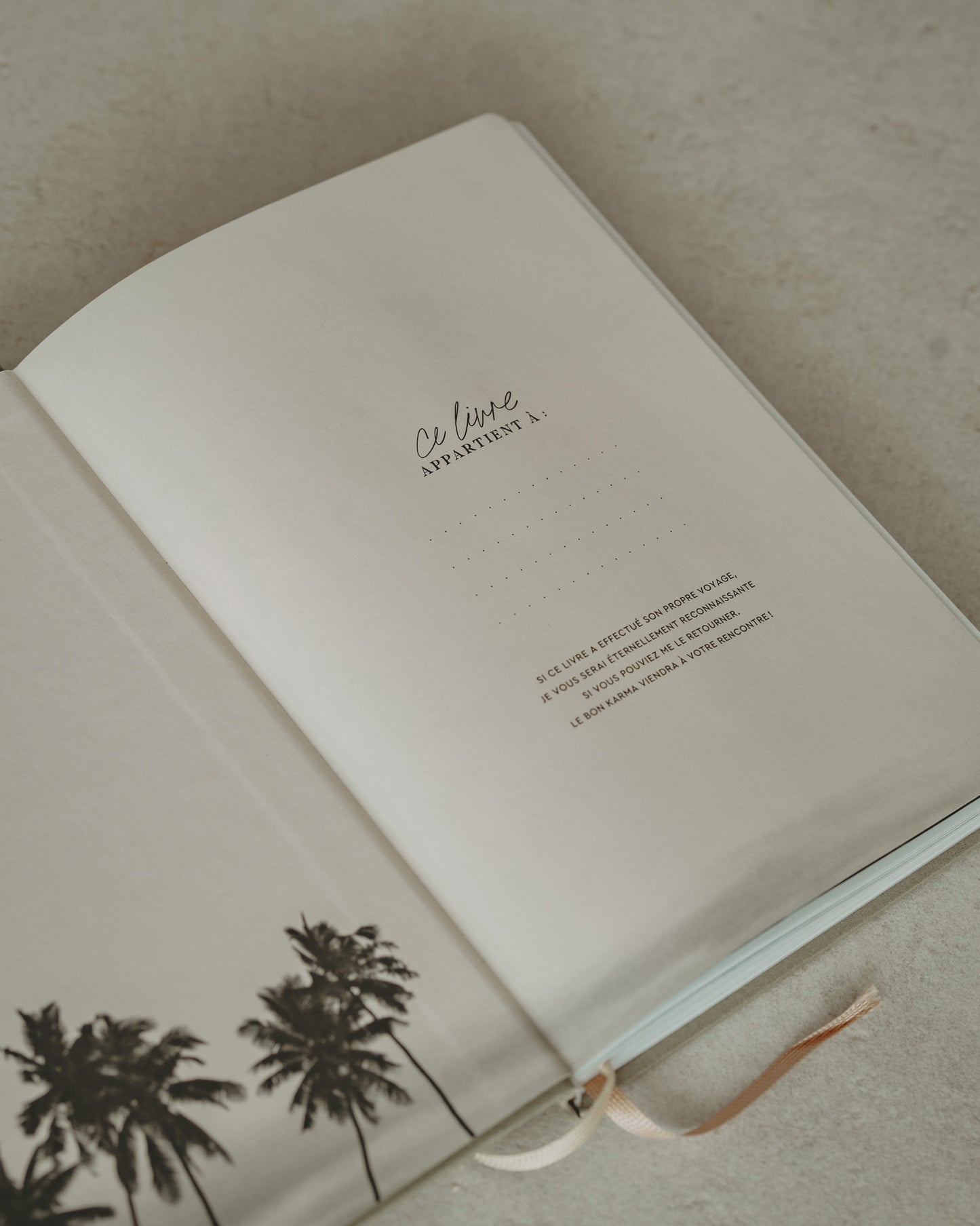 Livre IMMERSION